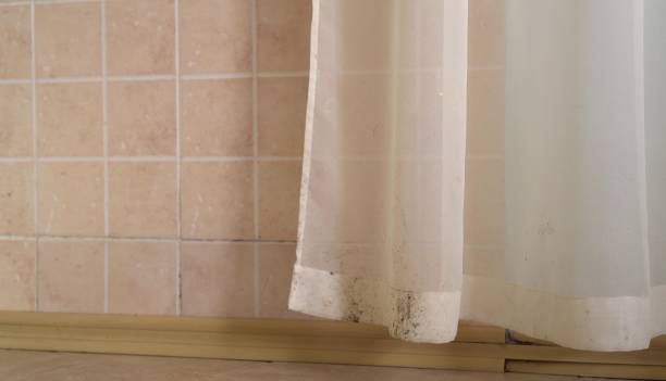 Best Black Mold Removal  in Utica, IN