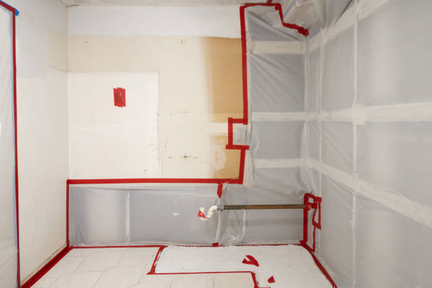 Utica, IN Mold Removal Company