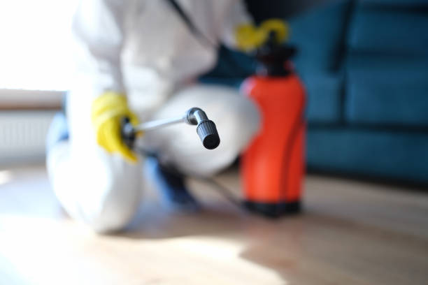 Dehumidification Services in Utica, IN