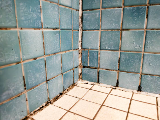 Best Airborne Mold Testing  in Utica, IN