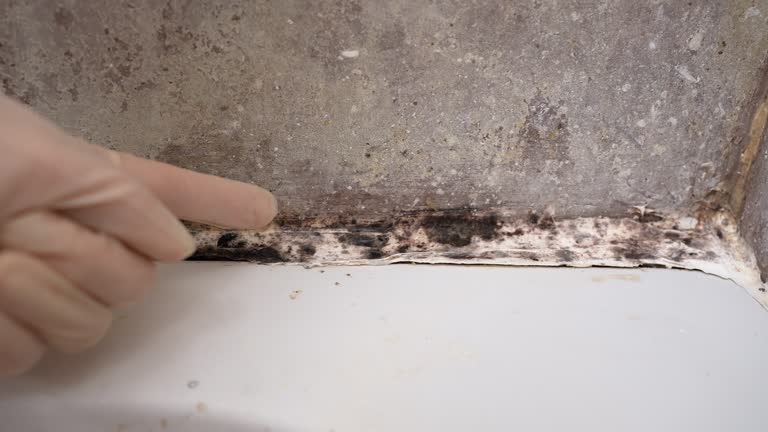 Asbestos and Lead Testing During Mold Inspection in Utica, IN